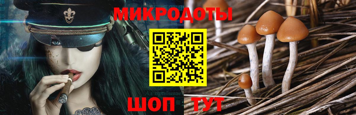 Галлюциногенные грибы Psilocybe  Псилоцибиновые грибы Psilocybine cubensis  Астрахань  Вход с VPN 
